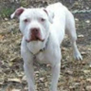 Meet your Posher, Jim